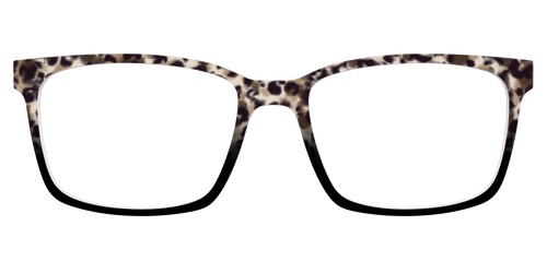 The Party Animal Tortoise - Kirby Top - Pair Eyewear