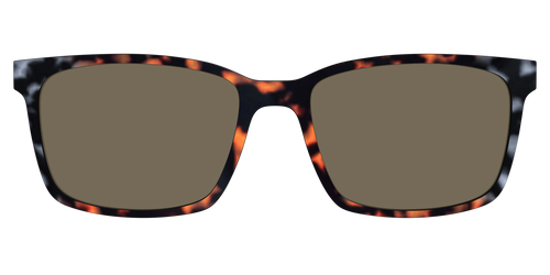 The Polarized Gray & Amber Tortoise Sun Top - Kirby Top - Pair Eyewear