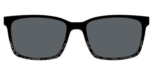 The Polarized Shaded Tortoise Sun Top - Kirby Top - Pair Eyewear