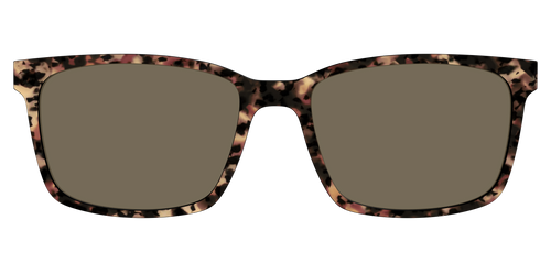 The Polarized Sienna Tortoise Sun Top - Kirby Top - Pair Eyewear