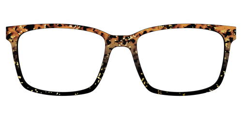 The Rustic Gold Leaf Tortoise - Kirby Top - Pair Eyewear