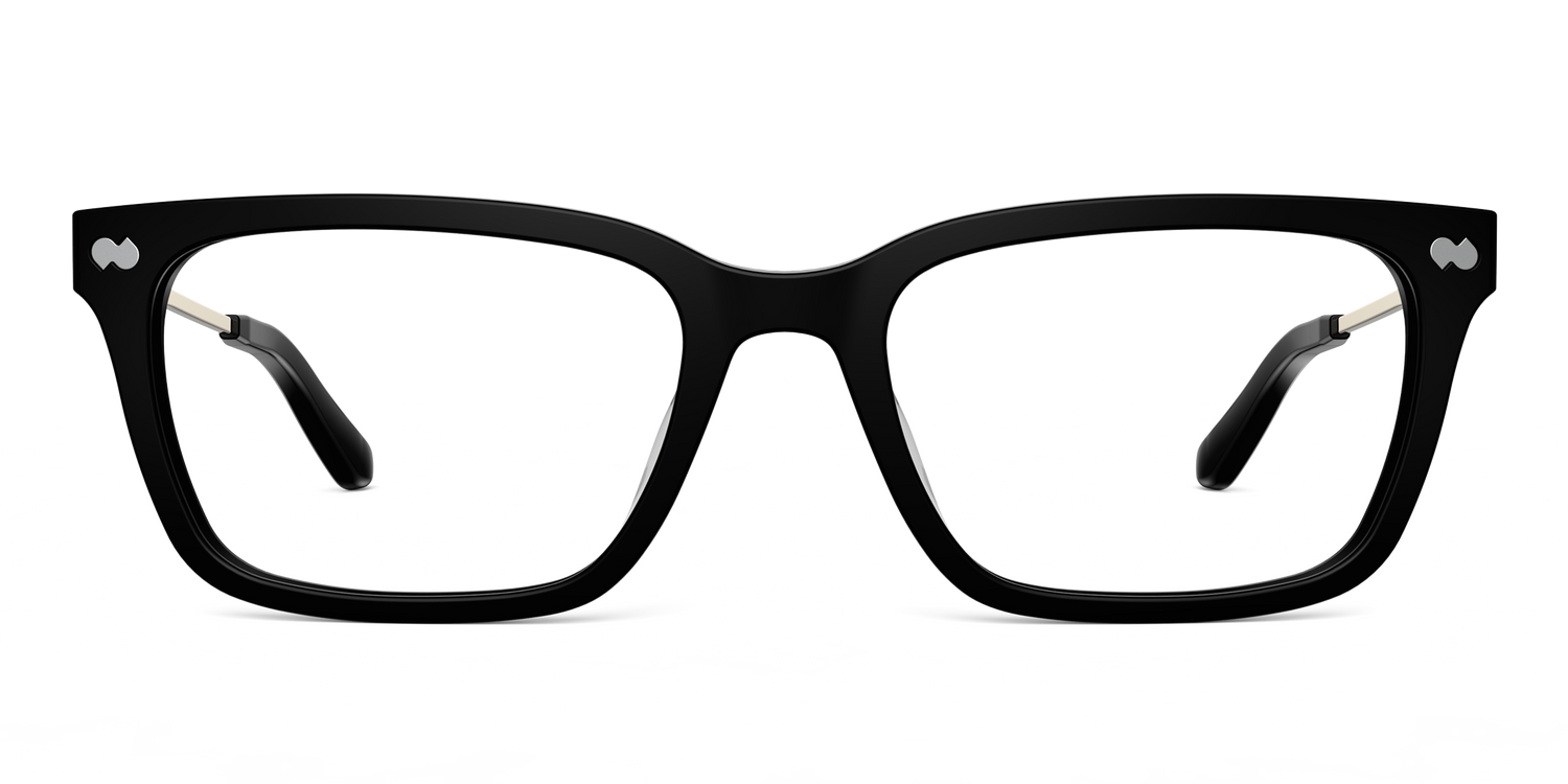 The Larkin - Black Acetate Gold Metal - Carousel2 - Pair Eyewear