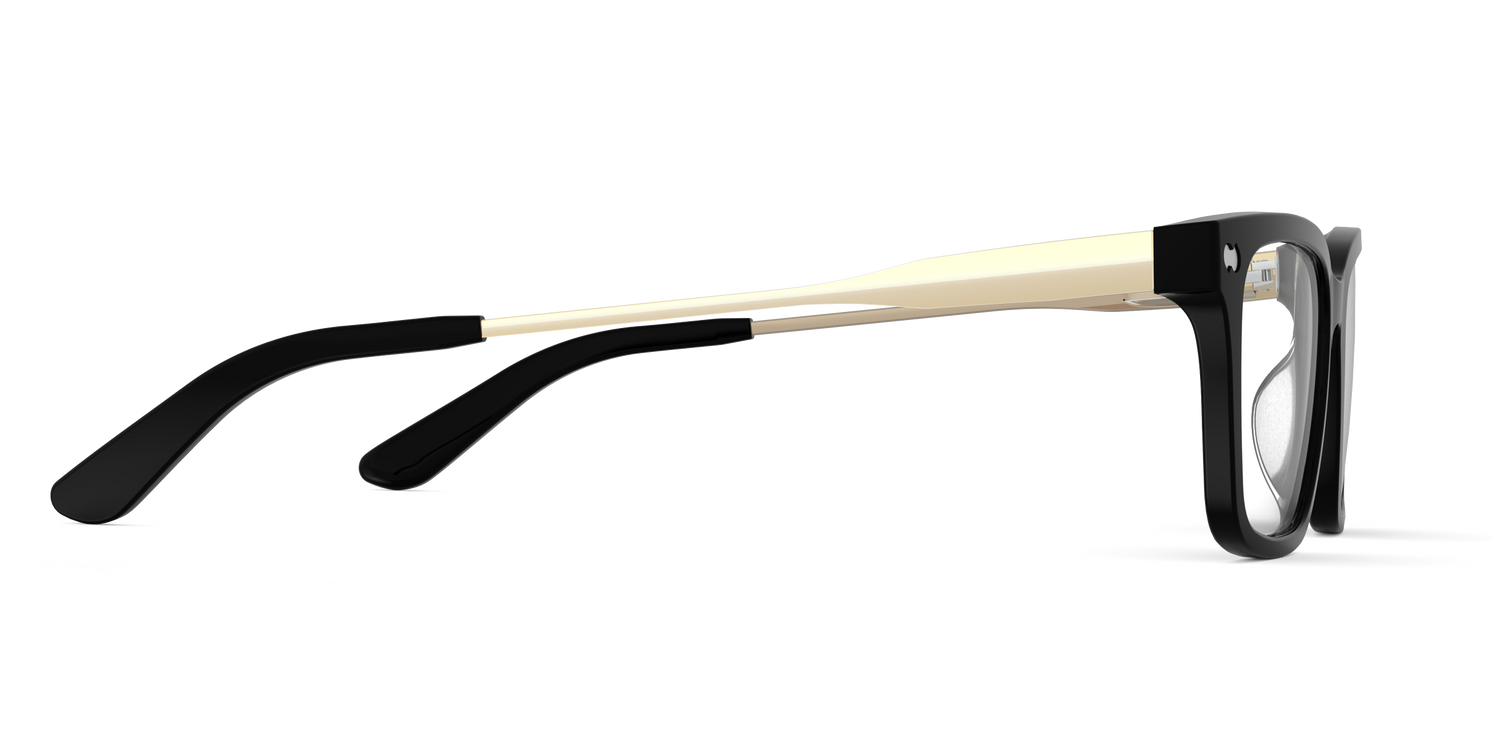 The Larkin - Black Acetate Gold Metal - Carousel3 - Pair Eyewear