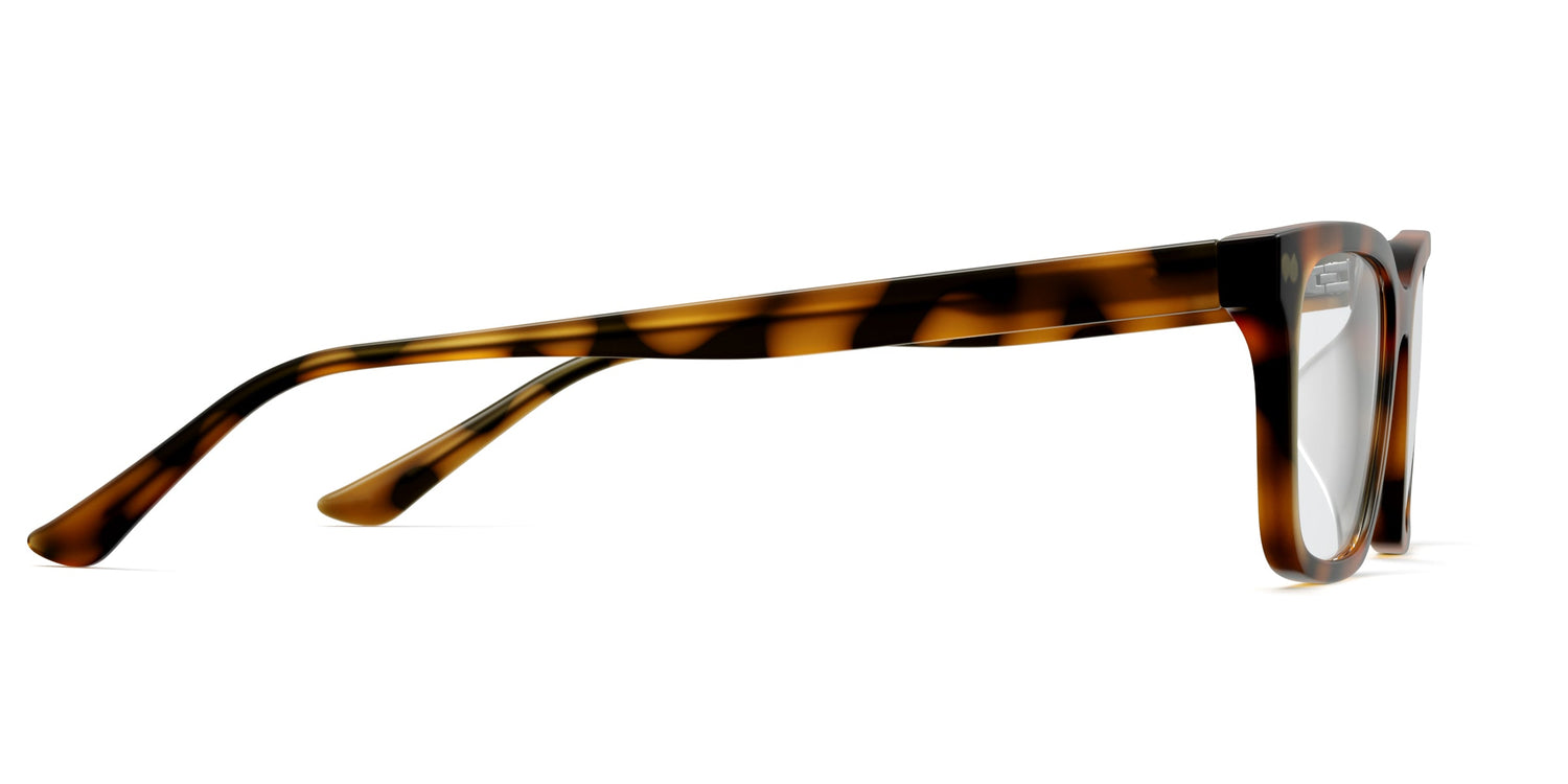 The Larkin - Tortoise - Carousel3 - Pair Eyewear
