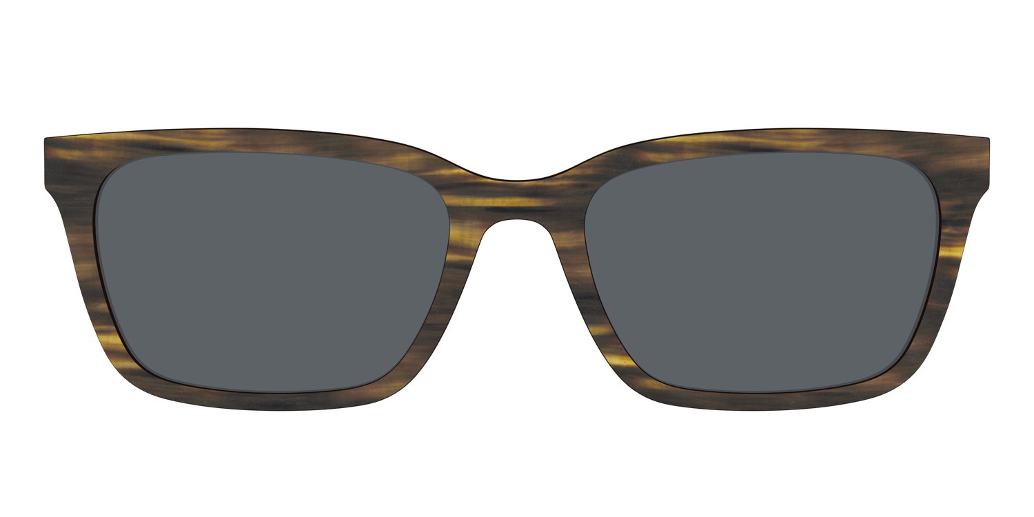 The Polarized Horn Sun Top - Front Top Image - Pair Eyewear