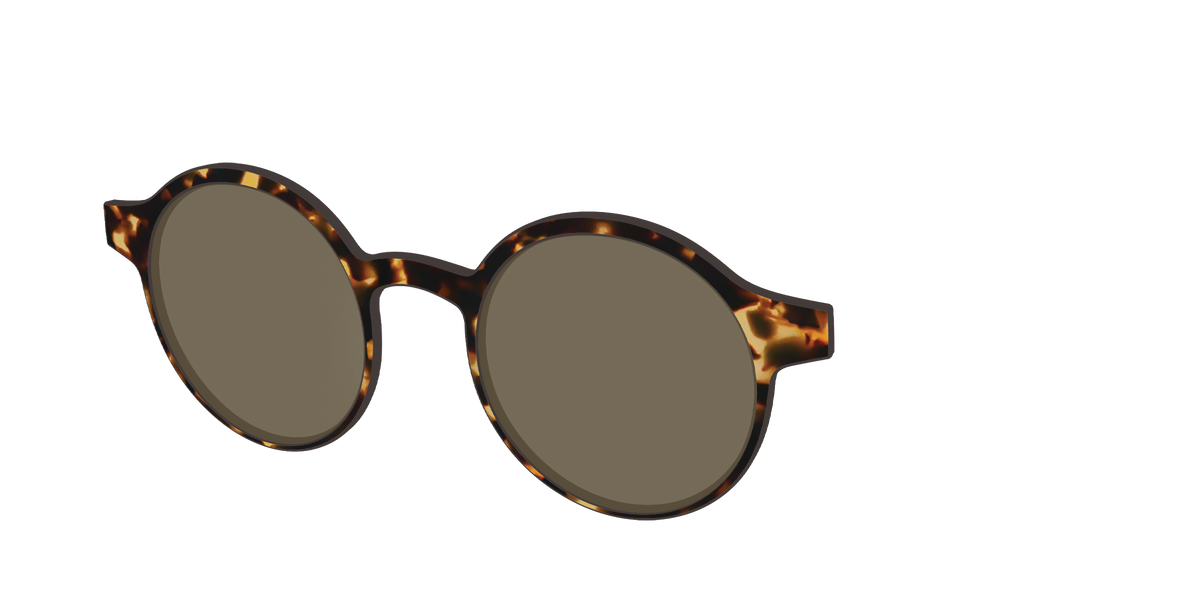 The Polarized Tortoise Sun Top - Angle Top Image - Pair Eyewear