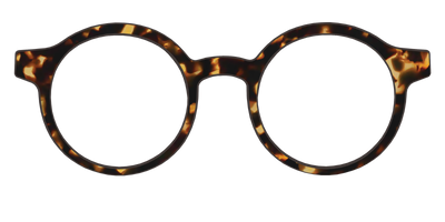 The Tortoise - Front Top Thumbnail - Pair Eyewear