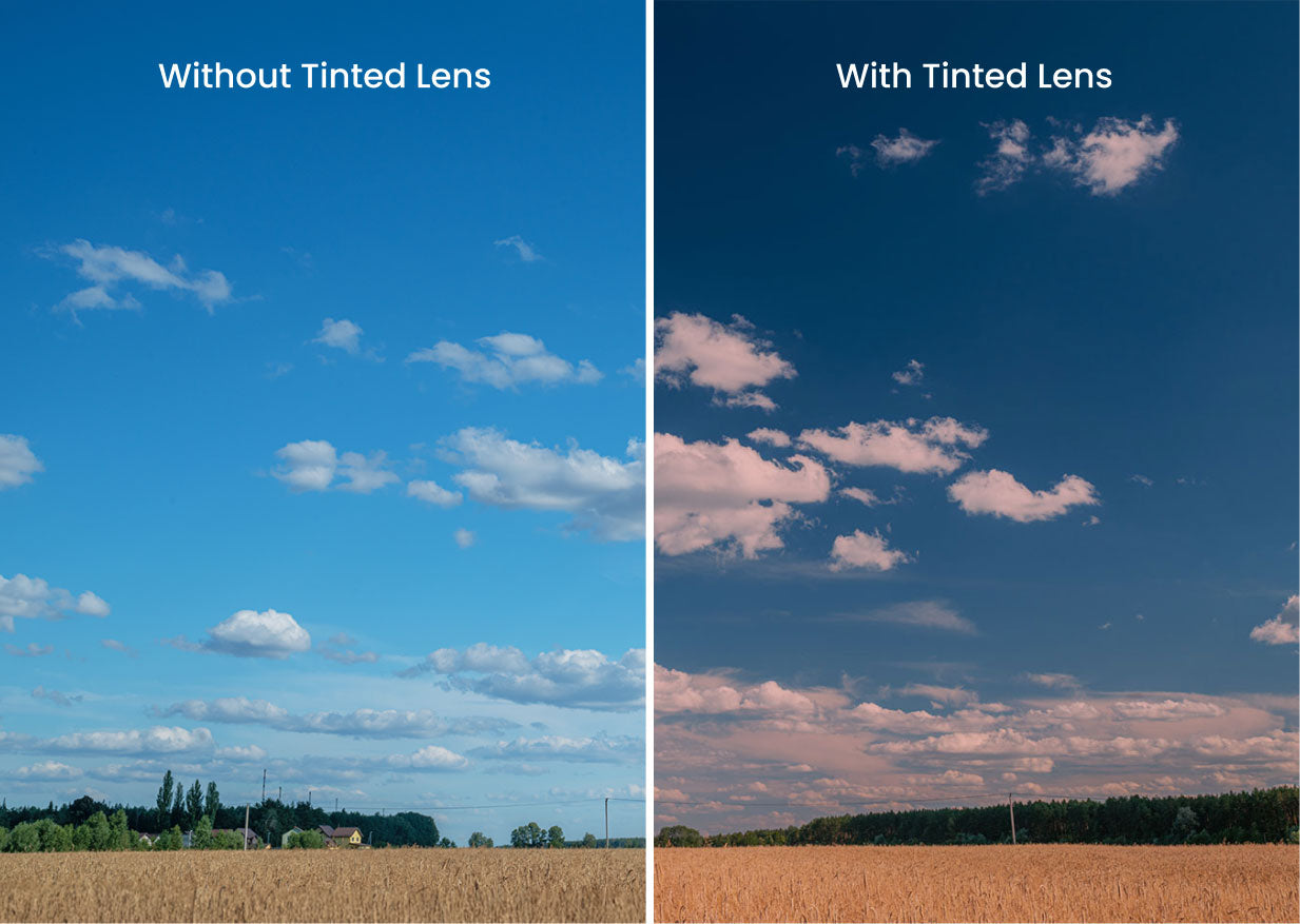 The Black With Coral Pink Lens