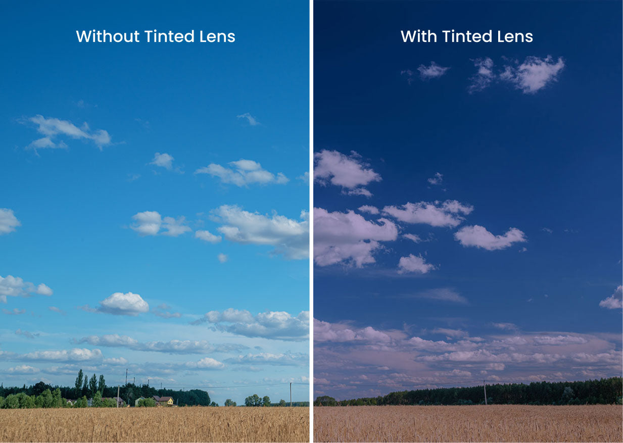 The Black With Celestial Purple Lens