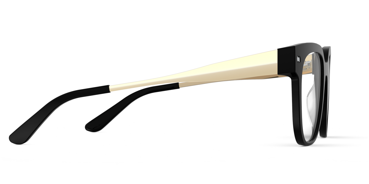 The Murphy - Black Acetate Gold Metal - Carousel3 - Pair Eyewear