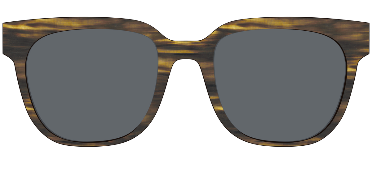 The Polarized Horn Sun Top - Front Top Image - Pair Eyewear