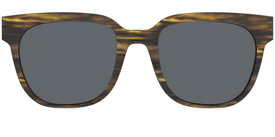 The Polarized Horn Sun Top - Front Top Thumbnail - Pair Eyewear