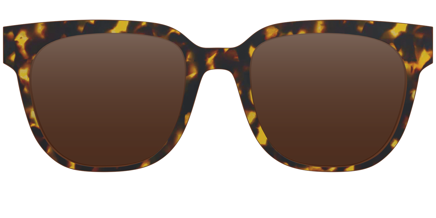 The Polarized Tortoise Sun Top - Front Top Image - Pair Eyewear