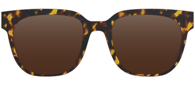 The Polarized Tortoise Sun Top - Front Top Thumbnail - Pair Eyewear