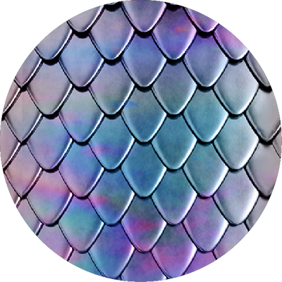 The Chrome Seashells