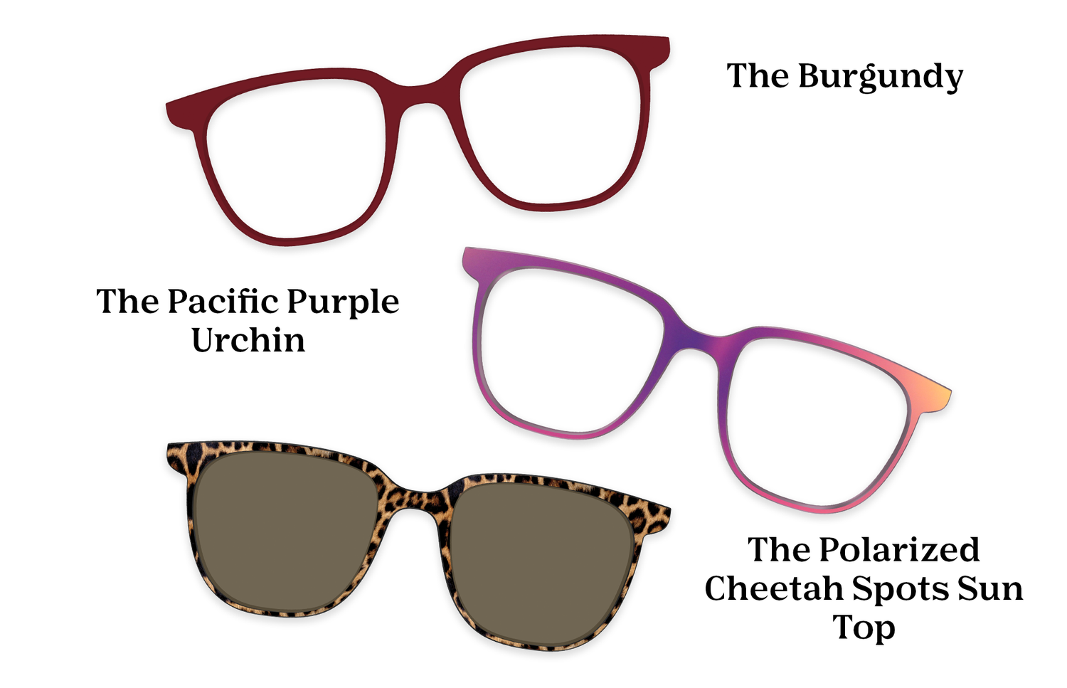 The Nola - Lensless - Pairing Set - Pair Eyewear