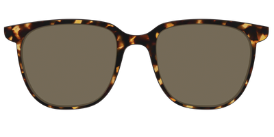 The Polarized Tortoise Sun Top - Front Top Thumbnail - Pair Eyewear