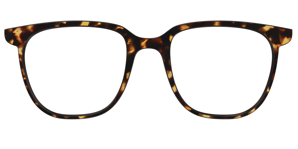 The Tortoise - Front Top Image - Pair Eyewear