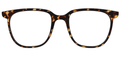 The Tortoise - Front Top Thumbnail - Pair Eyewear