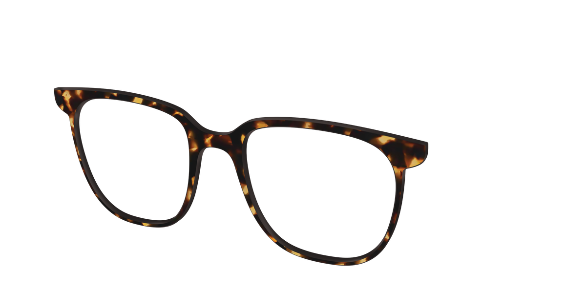 The Tortoise - Angle Top Image - Pair Eyewear