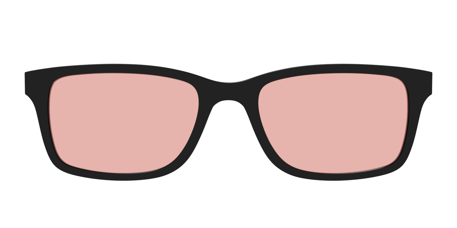 The Black With Coral Pink Lens - Front Top Image - Pair Eyewear