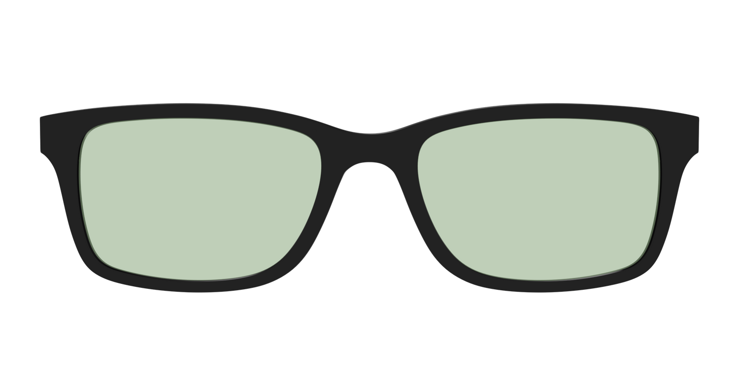The Black With Sage Green Lens - Front Top Image - Pair Eyewear