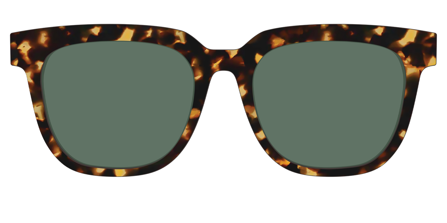 The Non-Polarized Green Tortoise Sun Top - Front Top Image - Pair Eyewear