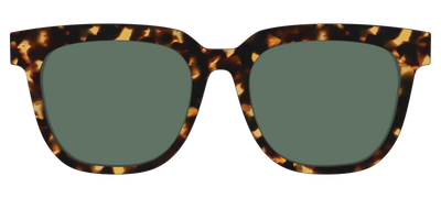 The Non-Polarized Green Tortoise Sun Top - Front Top Thumbnail - Pair Eyewear