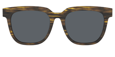 The Polarized Horn Sun Top - Front Top Thumbnail - Pair Eyewear