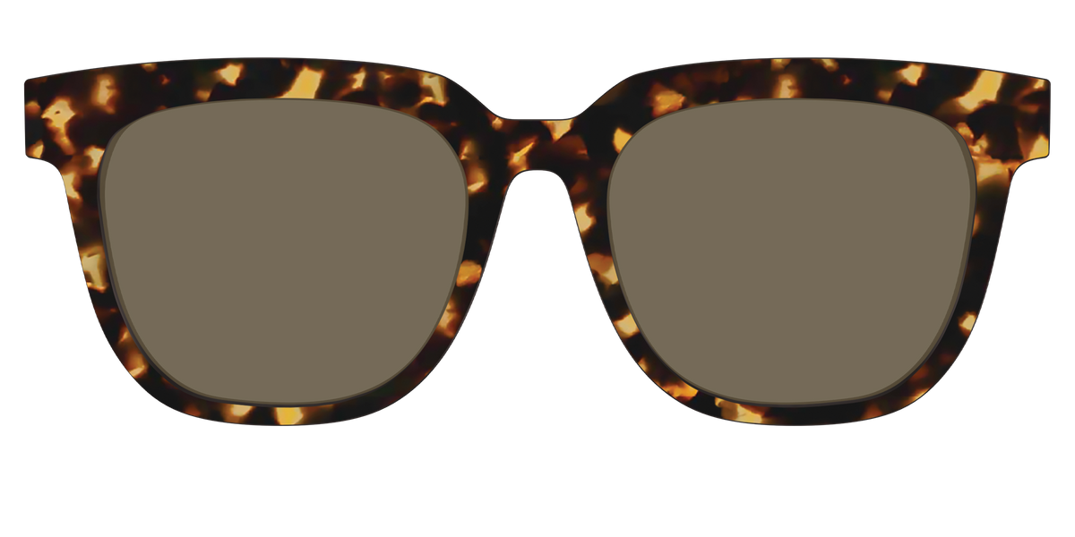 The Non-Polarized Tortoise Sun Top - Front Top Image - Pair Eyewear