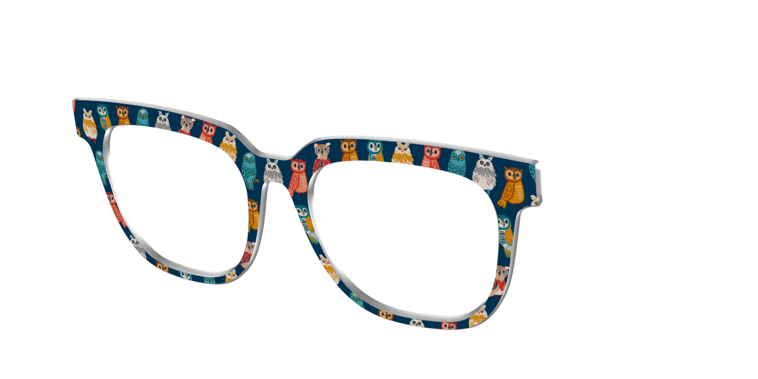 The Owls - Angle Top Image - Pair Eyewear
