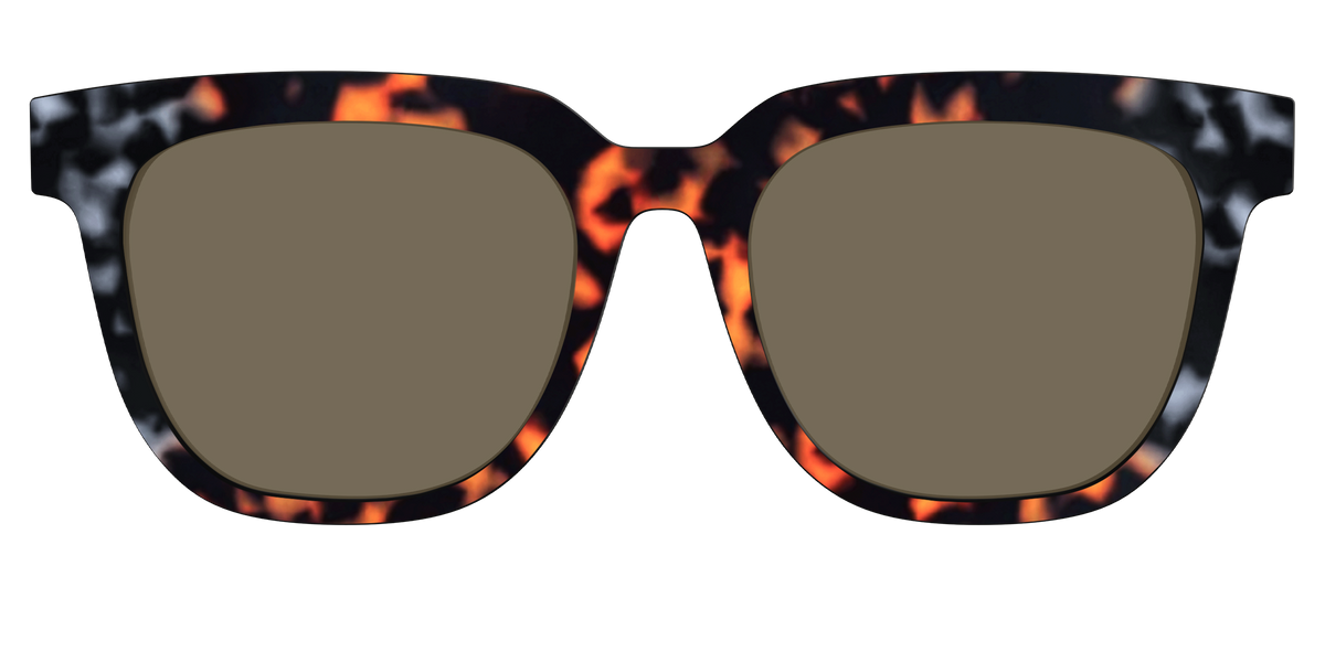 The Polarized Gray & Amber Tortoise Sun Top - Front Top Image - Pair Eyewear