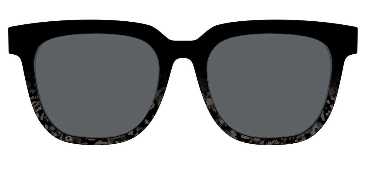 The Polarized Shaded Tortoise Sun Top - Front Top Image - Pair Eyewear