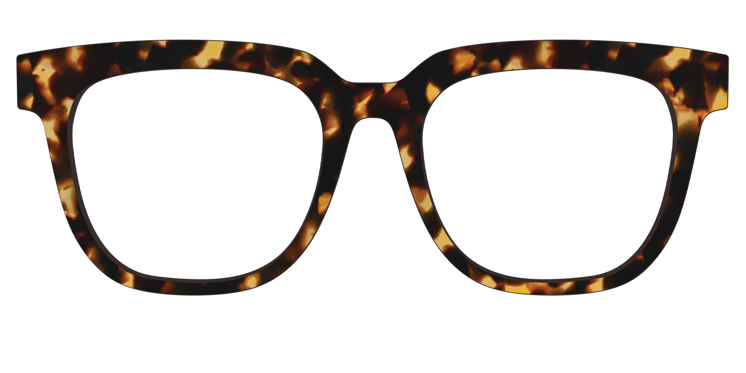 The Tortoise - Front Top Image - Pair Eyewear