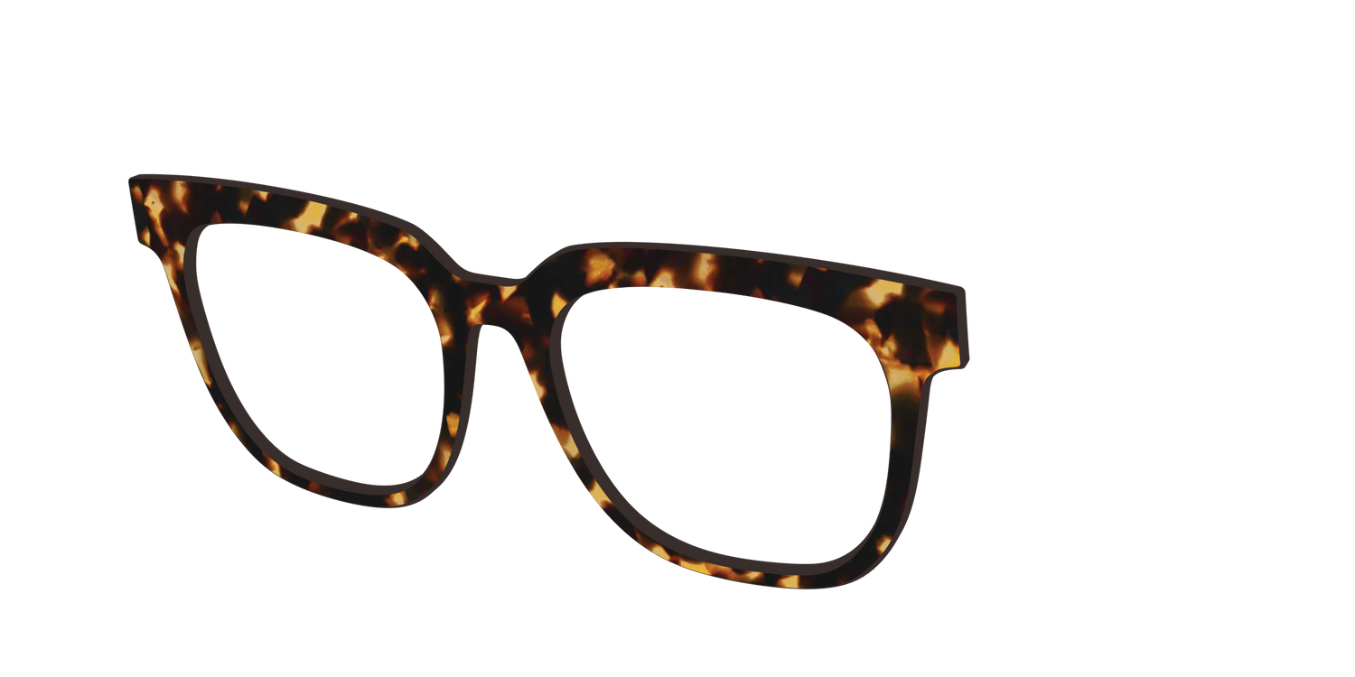 The Tortoise - Angle Top Image - Pair Eyewear