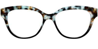The Academic Tortoise - Front Top Thumbnail - Pair Eyewear