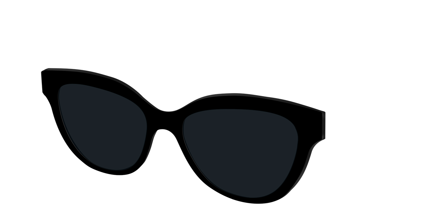 The Non-Polarized Black Sun Top - Angle Top Image - Pair Eyewear