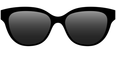 The Polarized Black Sun Top - Front Top Thumbnail - Pair Eyewear