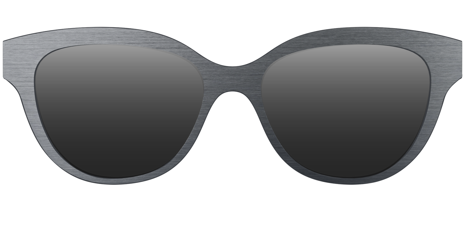 The Polarized Brushed Nickel Sun Top - Front Top Image - Pair Eyewear