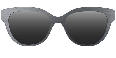 The Polarized Brushed Nickel Sun Top - Front Top Thumbnail - Pair Eyewear