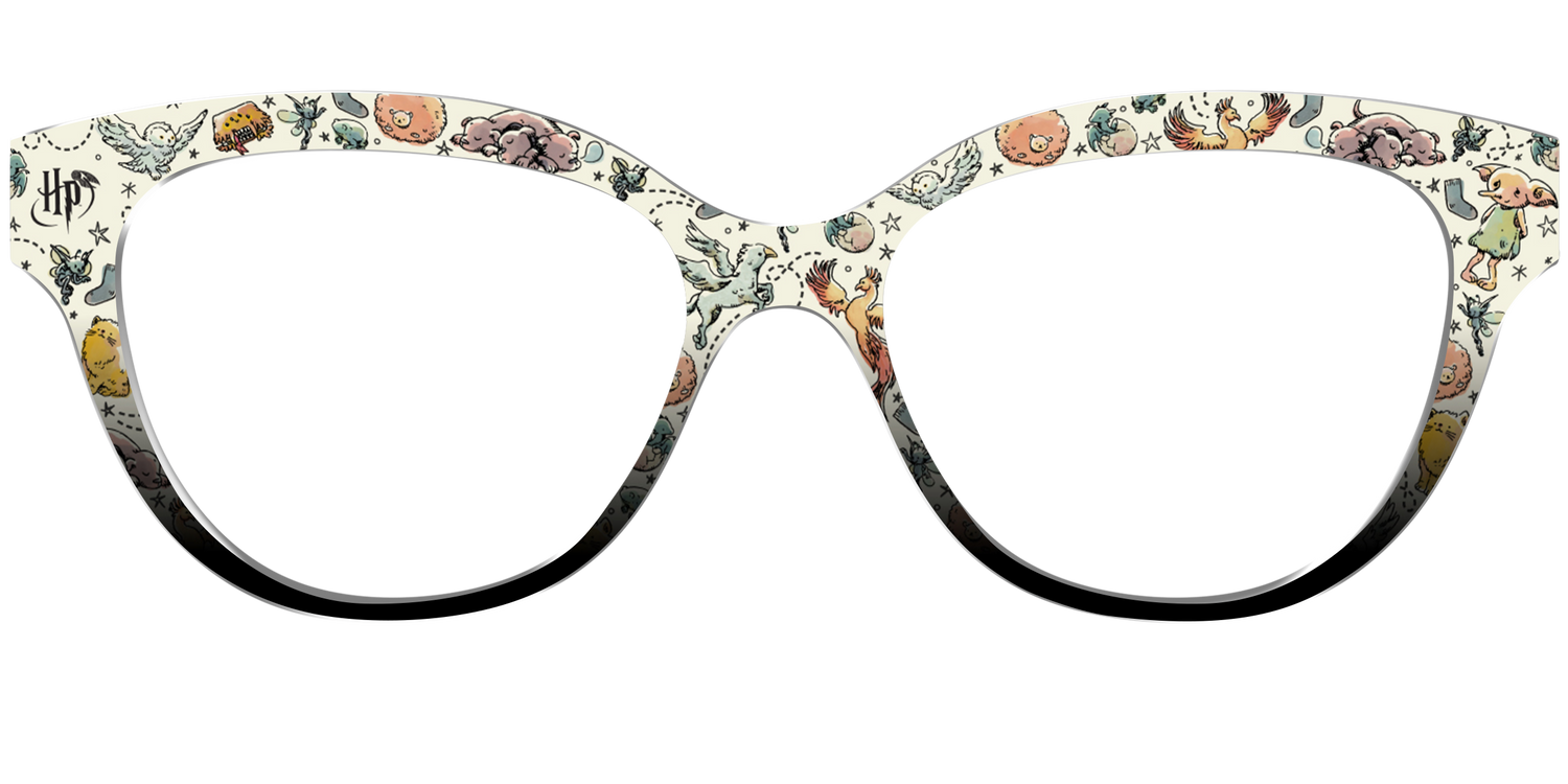 The Dobby & Friends - Front Top Image - Pair Eyewear