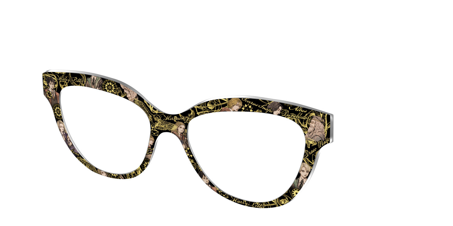 The Harry Potter Toile - Angle Top Image - Pair Eyewear