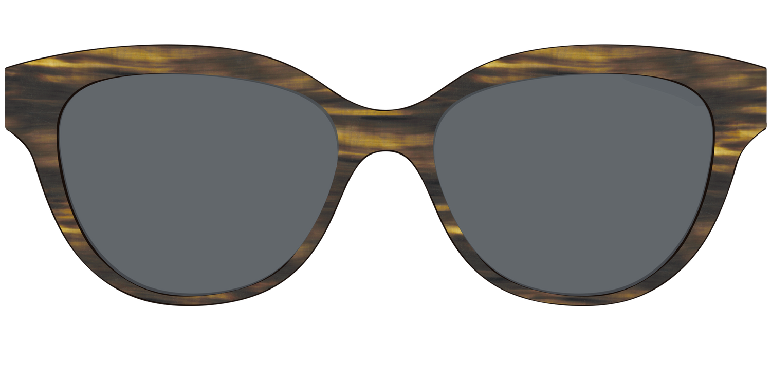 The Polarized Horn Sun Top - Front Top Image - Pair Eyewear
