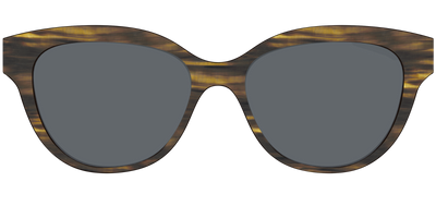 The Polarized Horn Sun Top - Front Top Thumbnail - Pair Eyewear