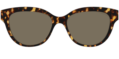 The Non-Polarized Tortoise Sun Top - Front Top Thumbnail - Pair Eyewear