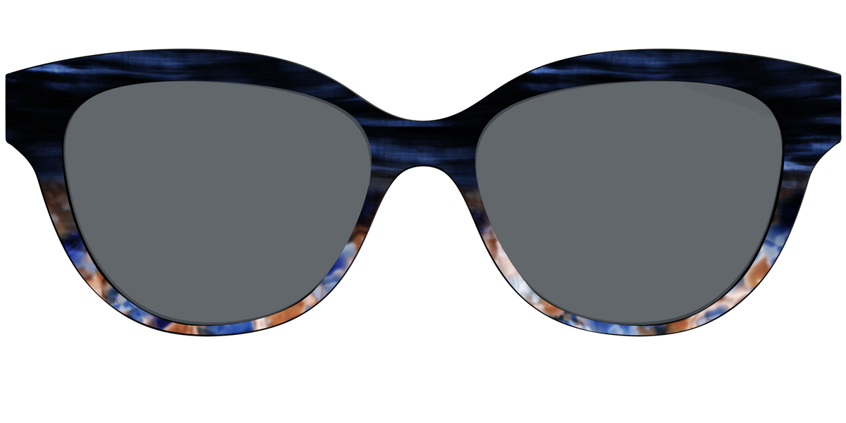The Polarized Blue Horn Tortoise Sun Top - Front Top Image - Pair Eyewear