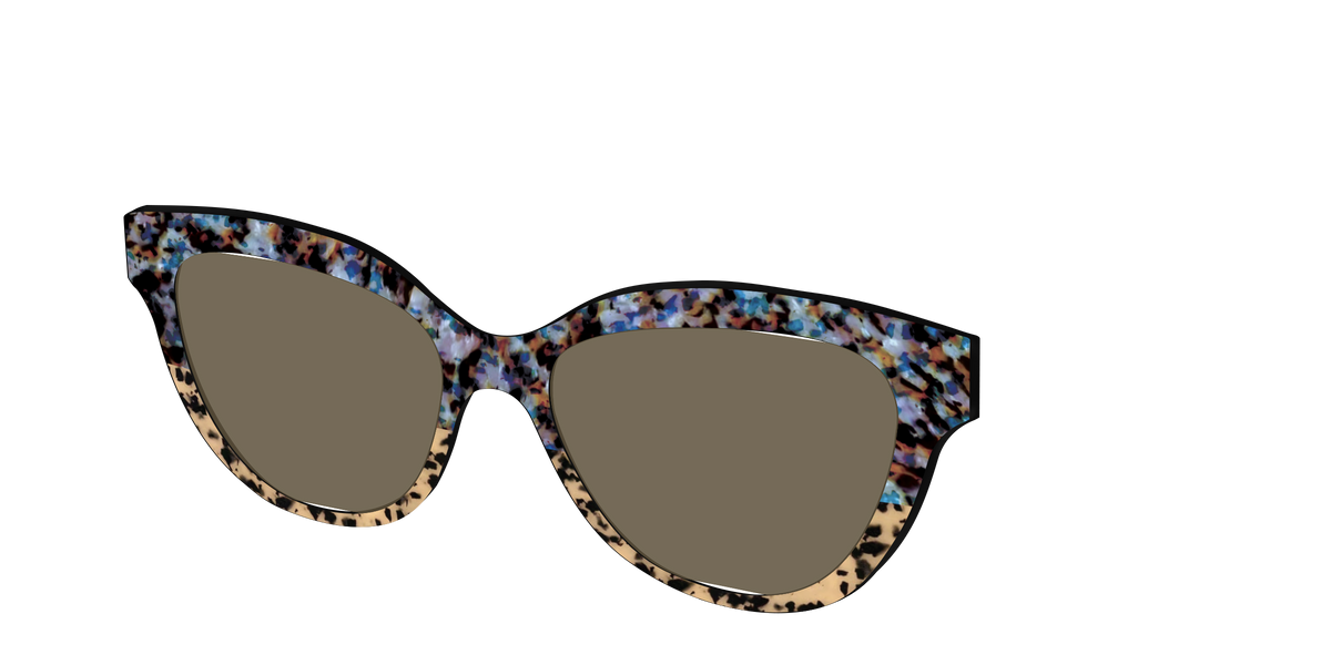 The Polarized Oasis Tortoise Split Sun Top - Angle Top Image - Pair Eyewear