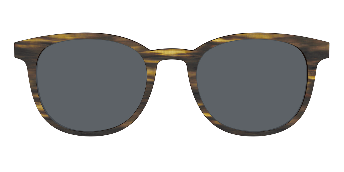 The Polarized Horn Sun Top - Front Top Image - Pair Eyewear