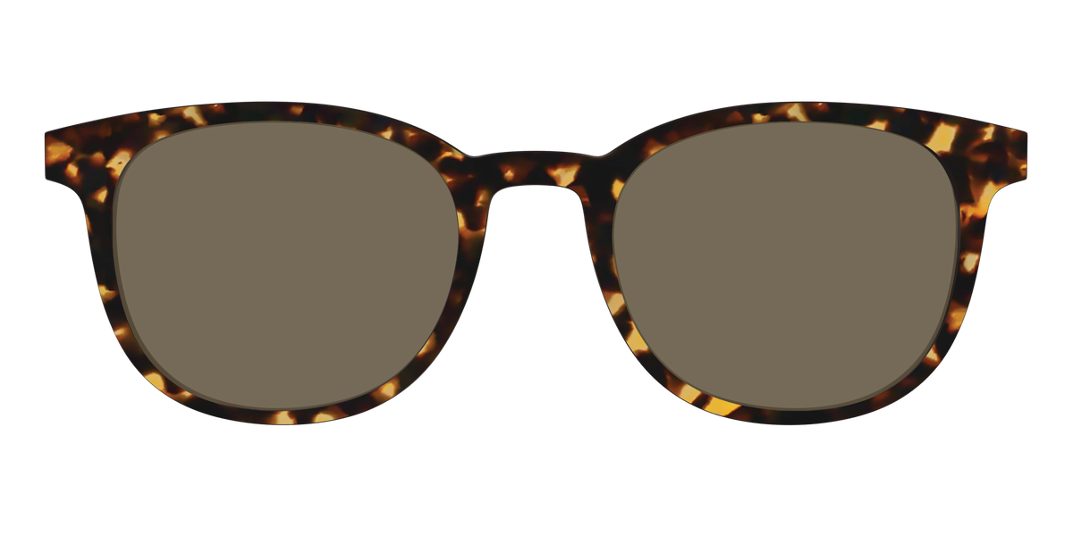 The Non-Polarized Tortoise Sun Top - Front Top Image - Pair Eyewear
