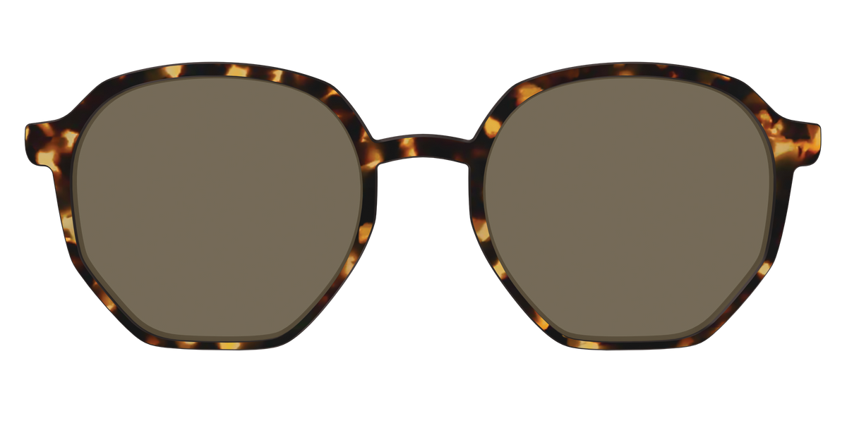 The Polarized Tortoise Sun Top - Front Top Image - Pair Eyewear